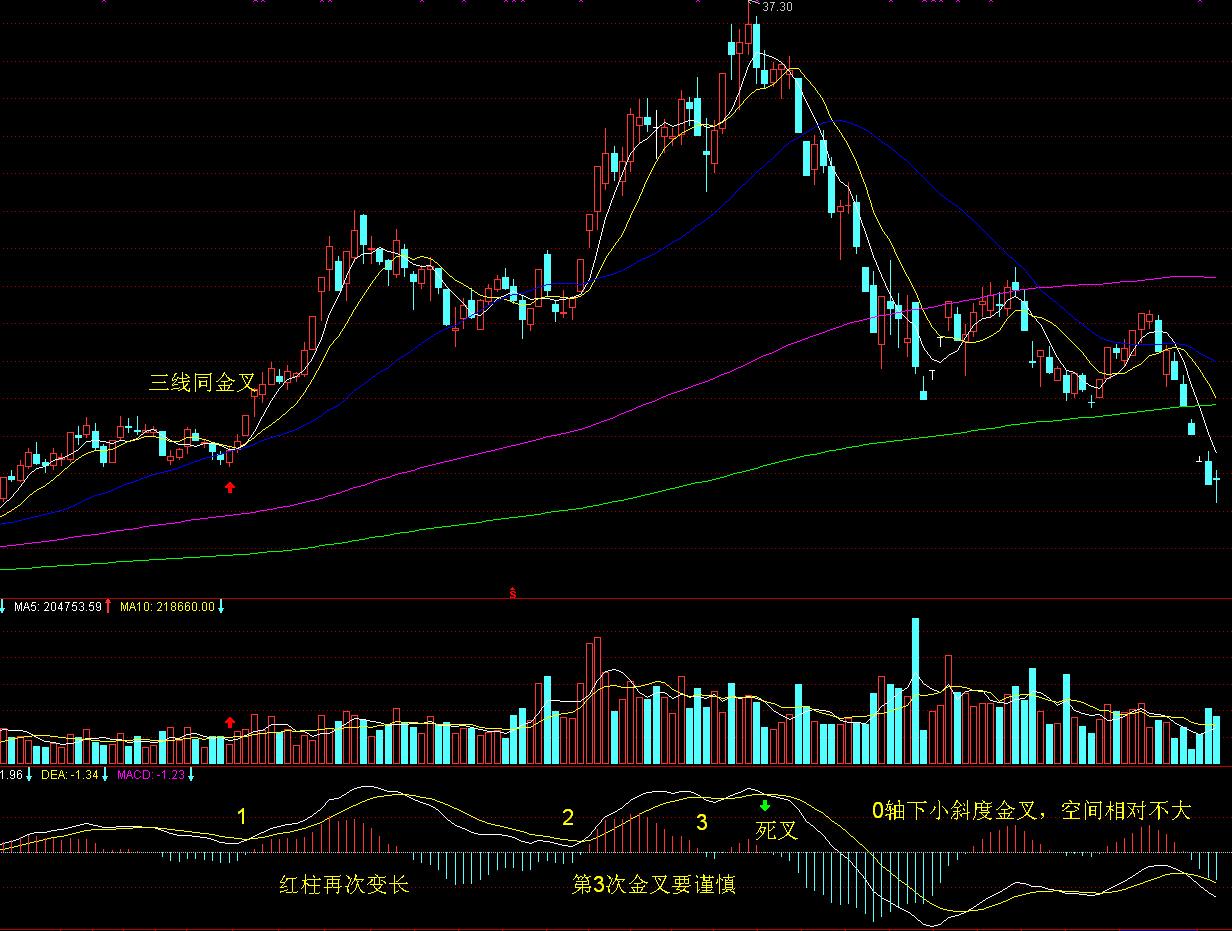 “秋冻”“贴秋膘”有讲究!专家回应秋季养生热门话题