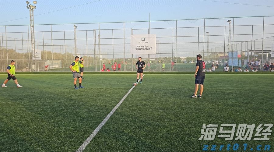 我在珠海挺好|汪娟萍:把产业导入乡村,带动村民多种经营增产增收