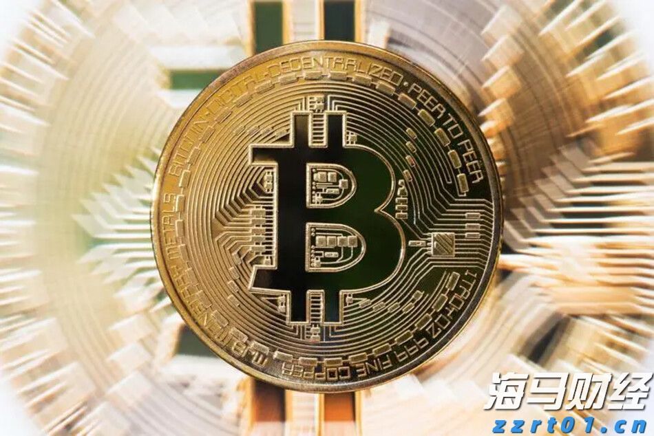 梅州海关供港澳活猪远程检疫监装模式正式启动